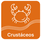 botão categoria de produtos crustáceos